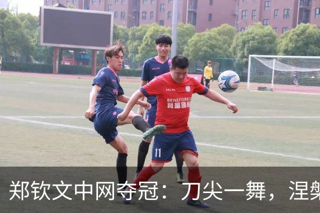 郑钦文中网夺冠：刀尖一舞，涅槃重生，小安娃还是为保守付出代价
